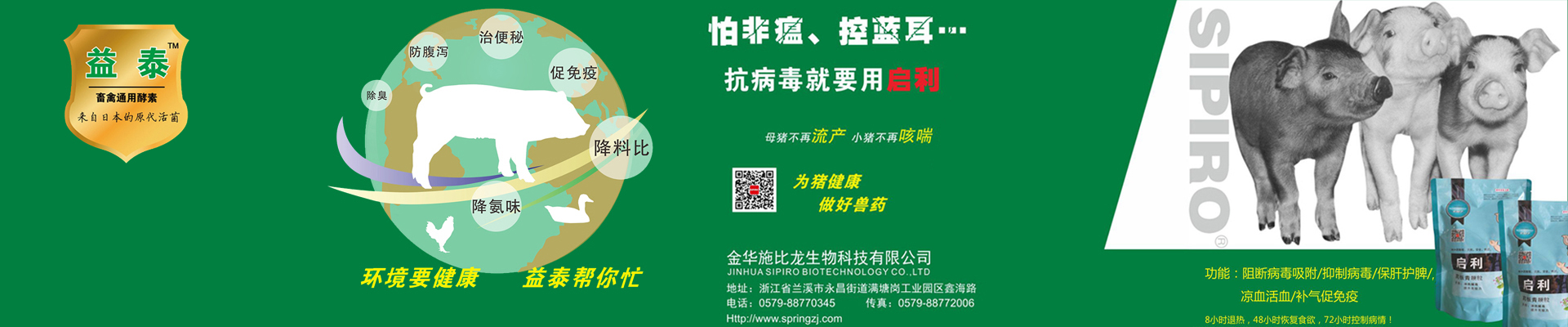 公司簡介